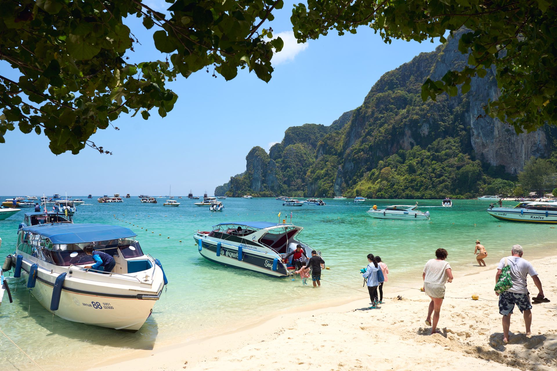 Longtail boats on a Phi Phi beach